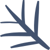Whistle Willow logo
